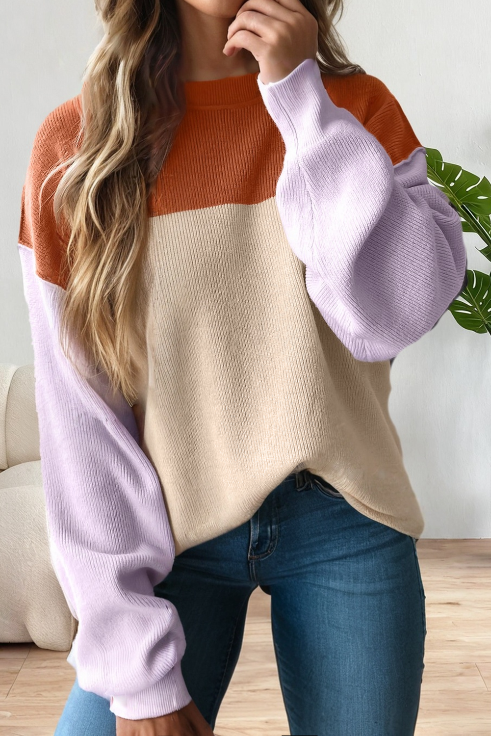 Color Block Plain Ribbed Knit Baggy Sweater