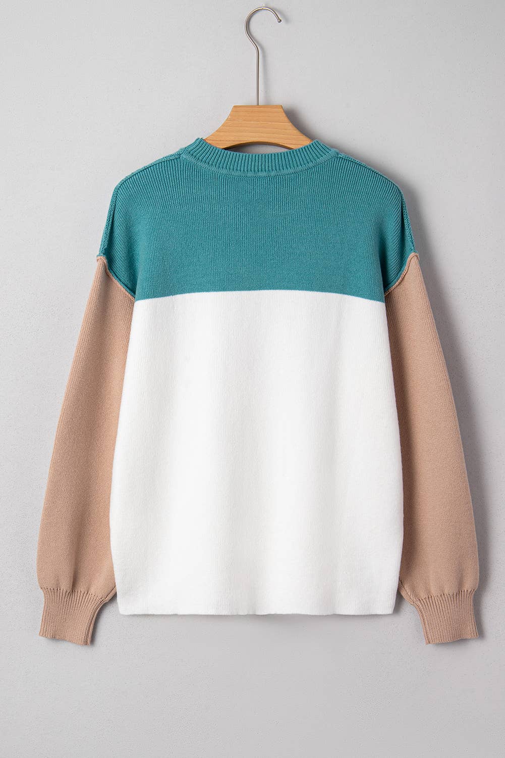 Color Block Plain Ribbed Knit Baggy Sweater